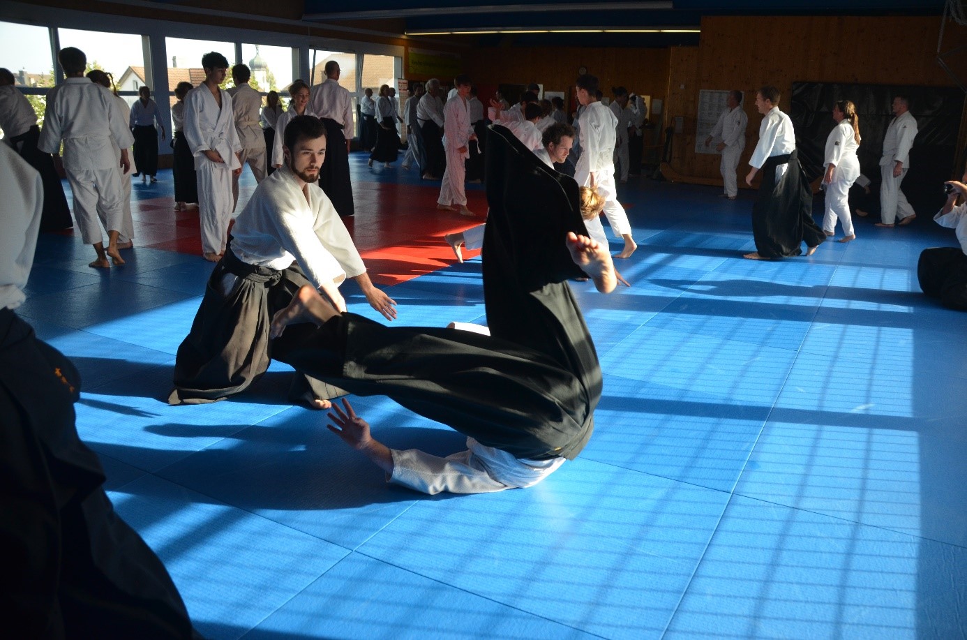 Aikido-Stage-vom-29.30.-Oktober-2022_3