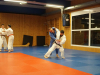 Abschlusstraining_Judo_2018_005